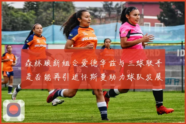 森林狼新组合爱德华兹与三球联手是否能再引进怀斯曼助力球队发展